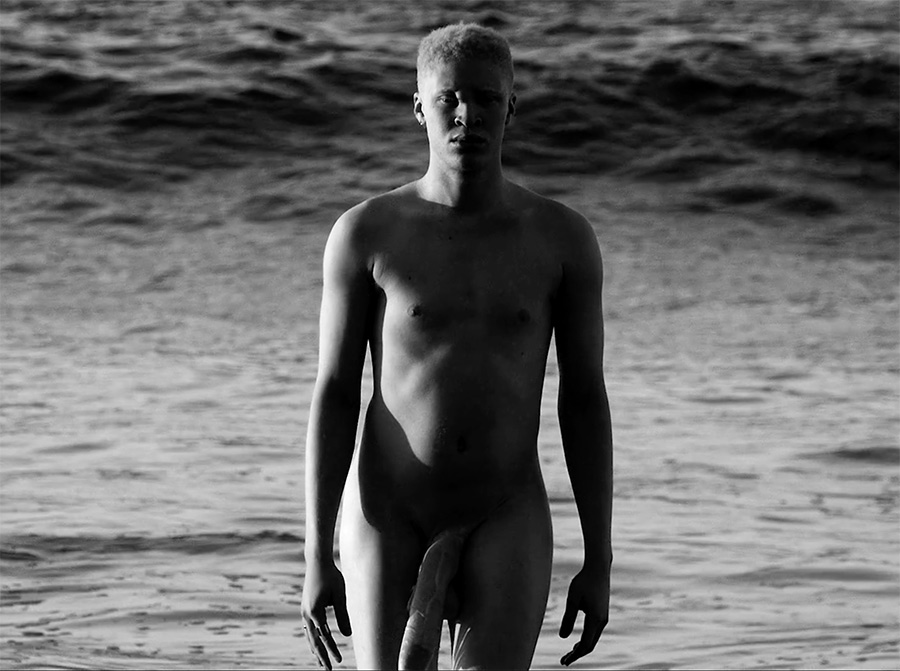 No, That Is Not Actually Albino Model Shaun Ross's Elephant Cock -...