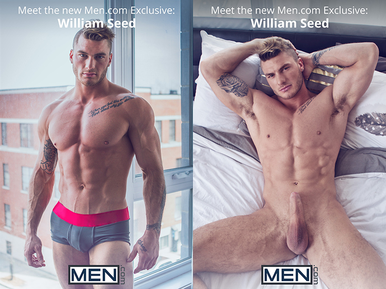 gay porn star william seed