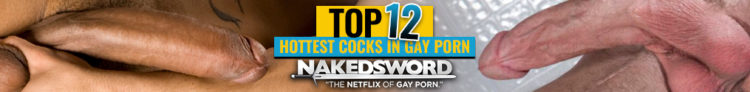 hottest cocks gay porn