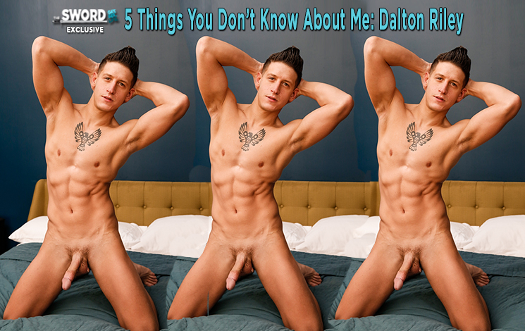 meet dalton riley gay porn star