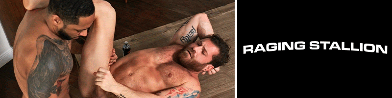 gay pride gay porn sale