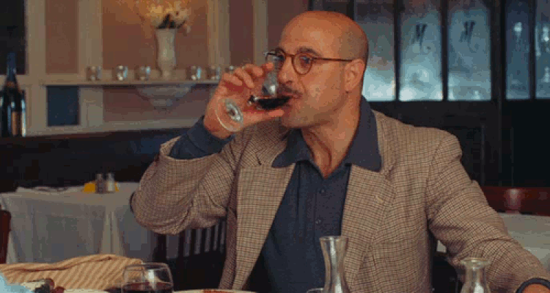 STANLEY TUCCI GIF