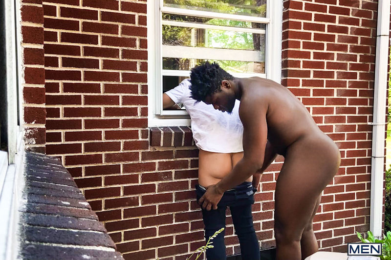 Bruno Cartella, Ty Shine