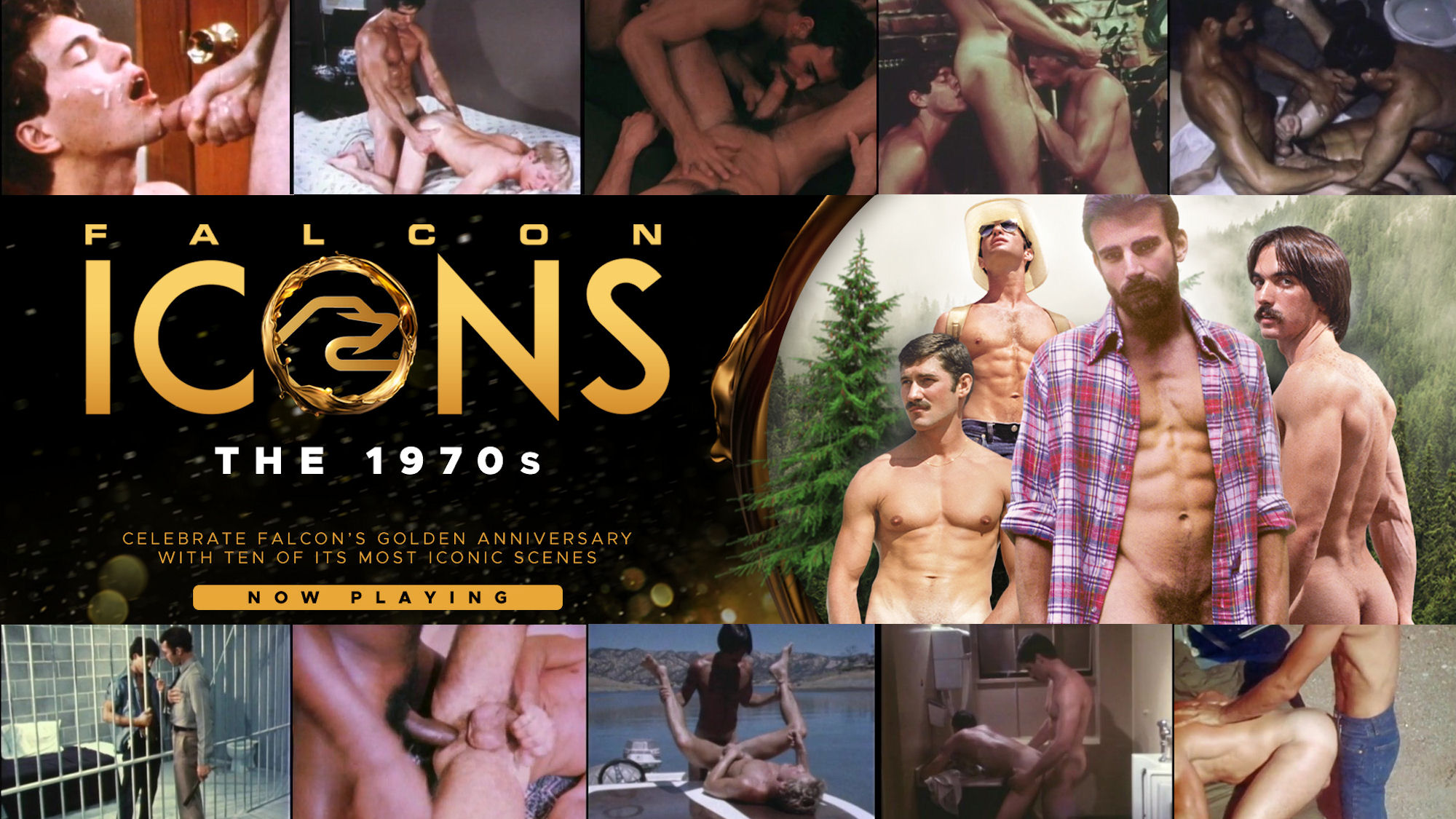 Falcon Icons 1970s