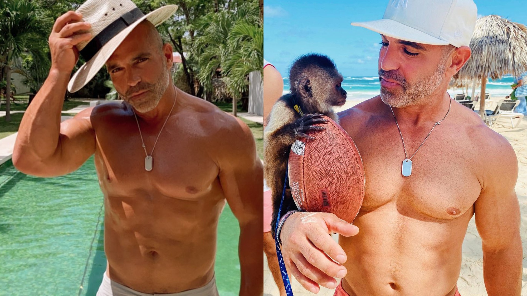 Real Housewives Husband Joe Gorga Apparently Has A Huge Dick hq picture