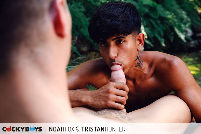 Tristan Hunter, Noah Fox