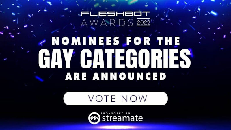 Fleshbot Awards