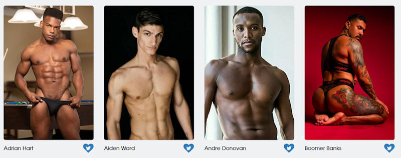 GayVN Awards