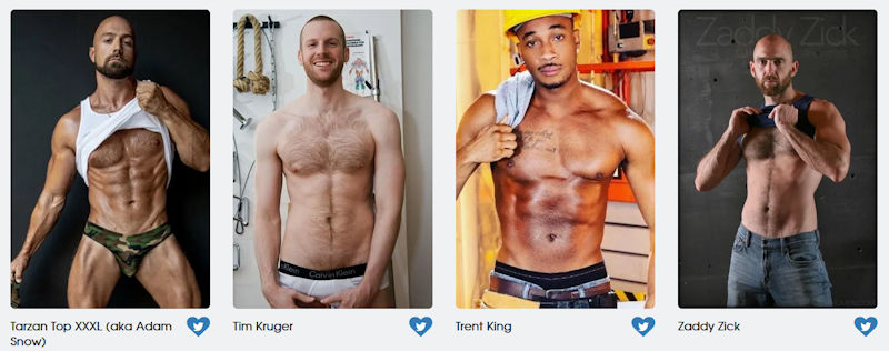 GayVN Awards