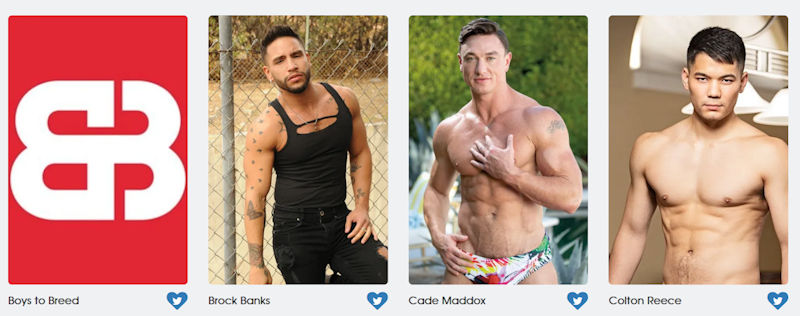 GayVN Awards