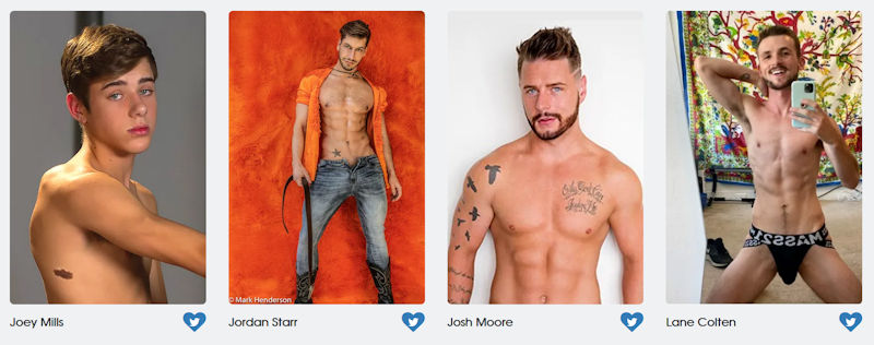 GayVN Awards