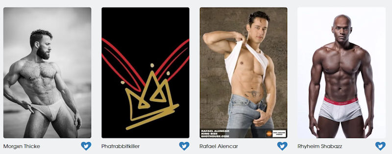 GayVN Awards