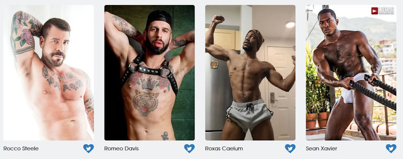 GayVN Awards