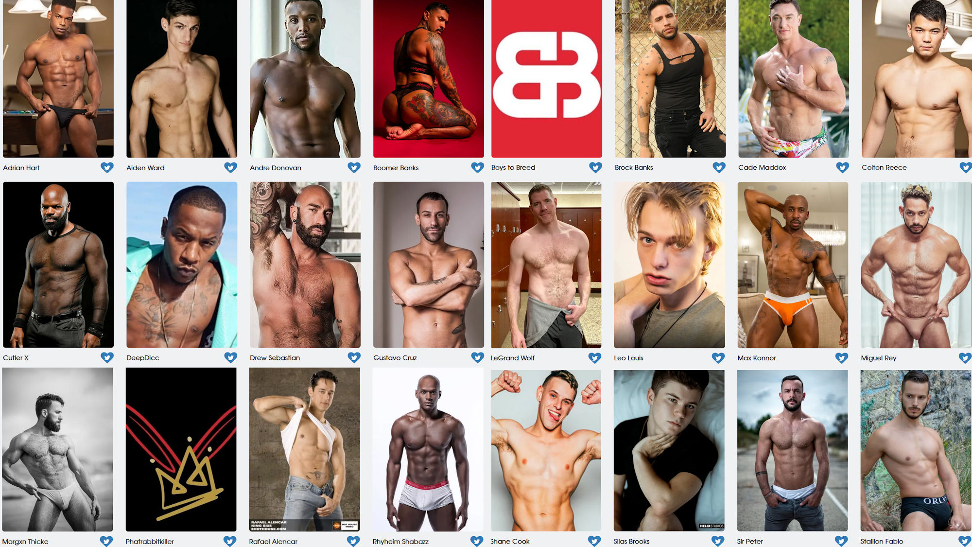 GayVN Awards