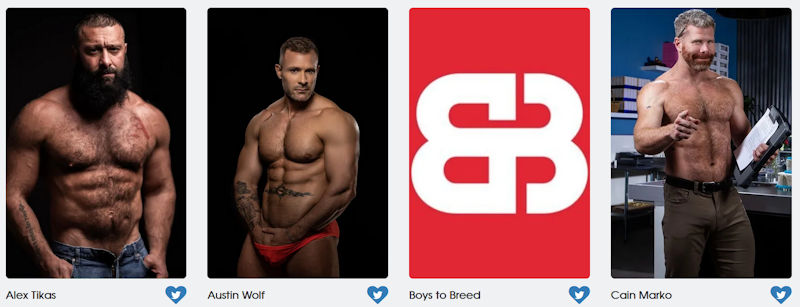 GayVN Awards Hottest Daddies