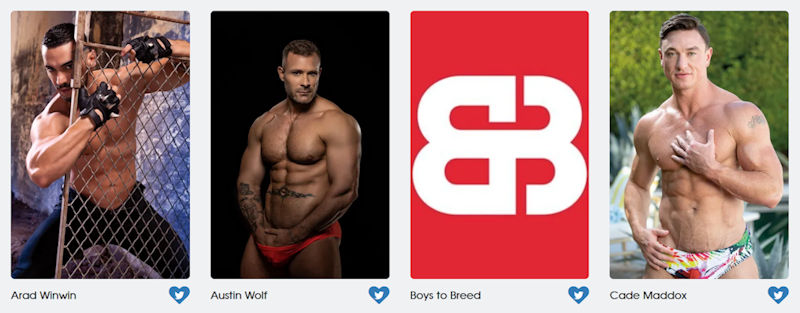 GayVN Awards Hottest Top