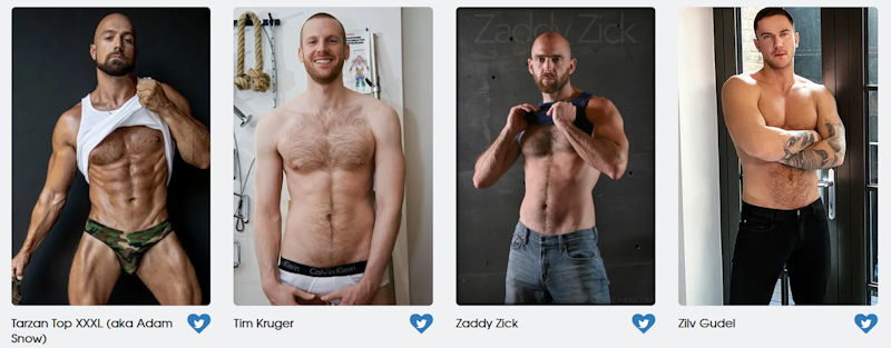 GayVN Awards Hottest Top