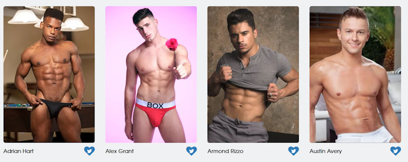 GayVN Awards Bottom