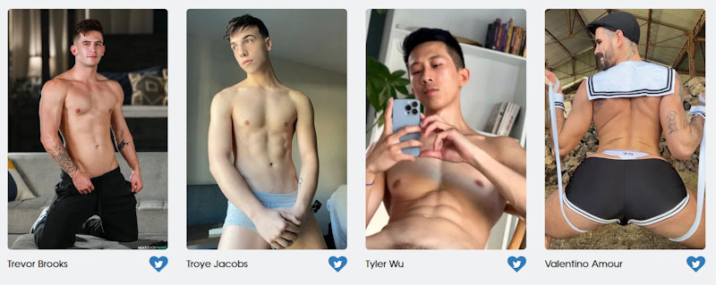 GayVN Awards Bottom