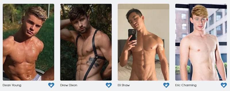 GayVN Awards Bottom